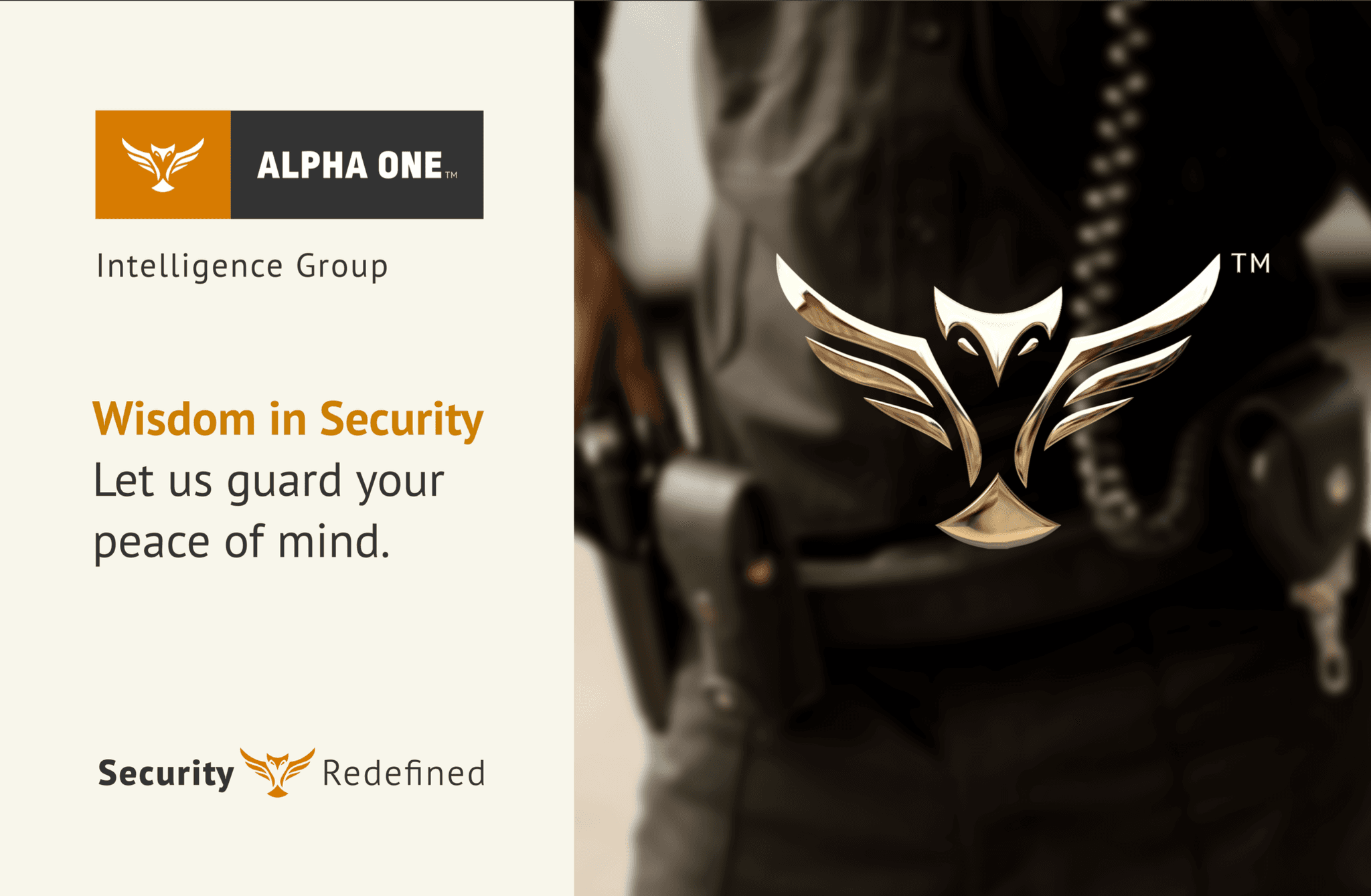 Alpha One Intelligence Group — Wisdom in Security